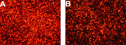 DG80500 results fig1