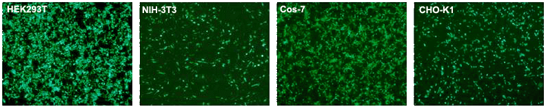 ET10500 results fig1