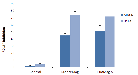 FluoMag Figure 2