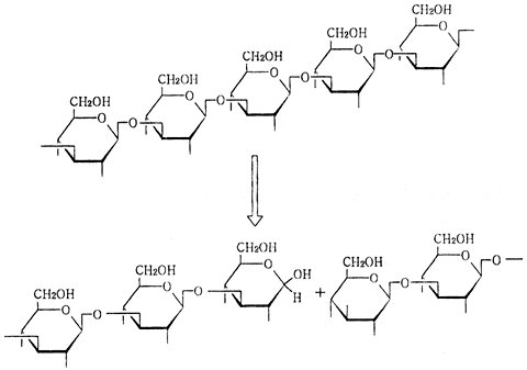 GE013.0001 Zymolyase