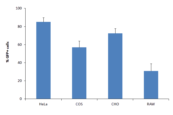 RM20500 results fig1