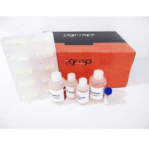 grs-viral-dna-rna-purification-kit