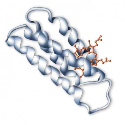 hype-5-dna-transfection-kit-protein-expression