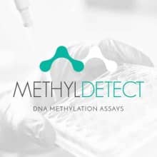 methyldetect-dna-methylation-assays7