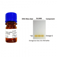 DL1000-exceldye-dna-loading-dye