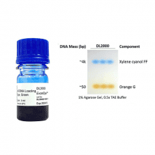 DL2000-exceldye-dna-loading-dye