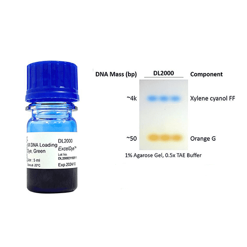 DL2000-exceldye-dna-loading-dye