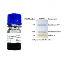 DL4000-exceldye-dna-loading-dye