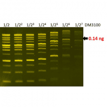 Sensitivity of FluoroDye™