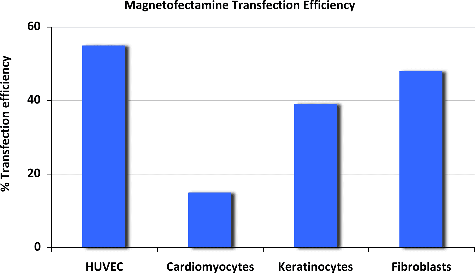 Magnetofectamine Fig1