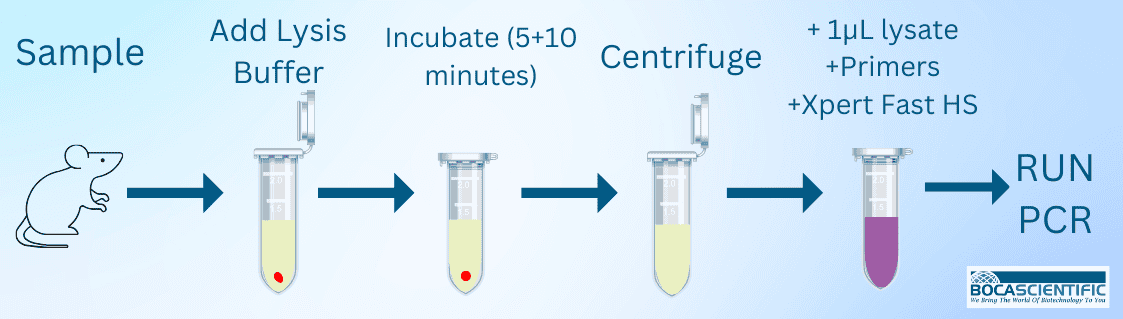 PCR Image