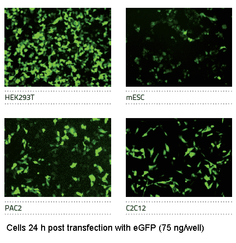 S 3001fig1