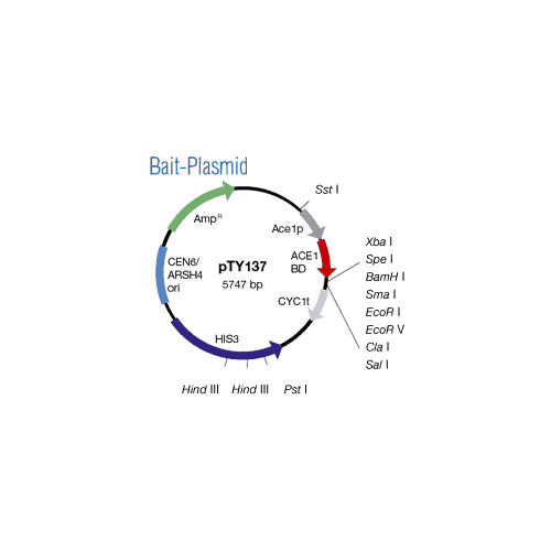 ace-bait_plasmid