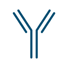 antibody-symbol2