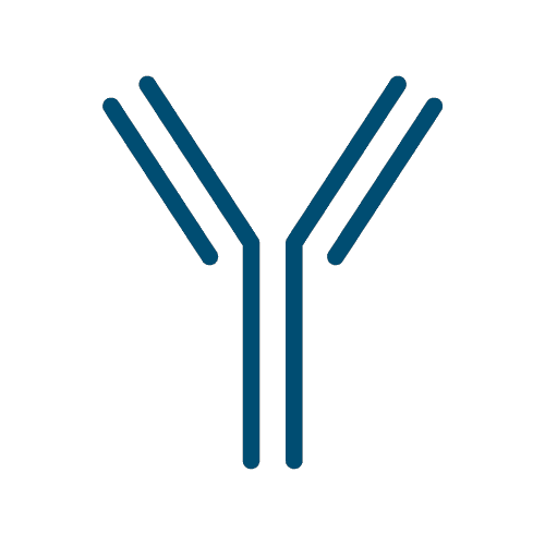 antibody-symbol2