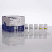 bioron-dna-extraction-kits