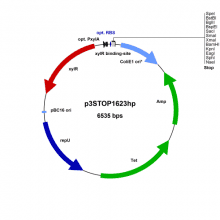 bmeg30-vector-map