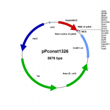 bmeg45-vector-map