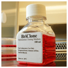 briclone