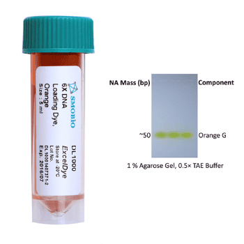 DNA Loading Dyes and Stains