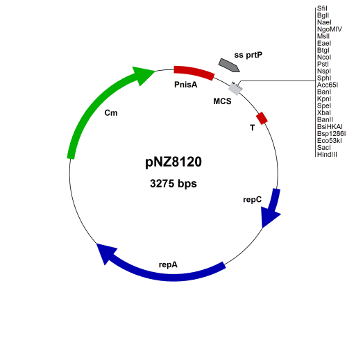 elv00600-01-vector-map