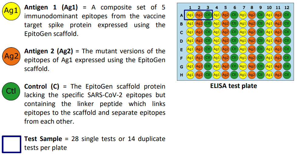 epitogen mutant elisa