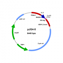 gngk01--pjg4-5-vector-map_500x500