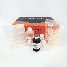 grisp-dna-rna-purification-kits