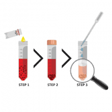 happy-cell-inactivation-solution-protocol