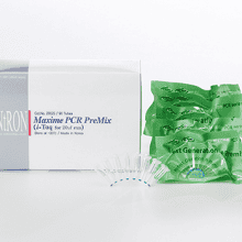 intron-pcr-premix-kits-solutions