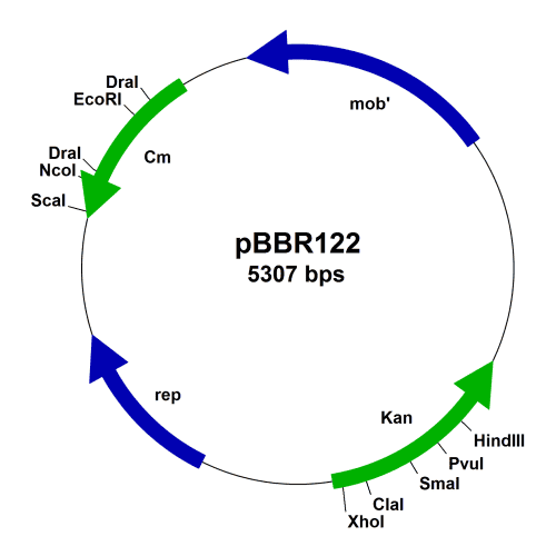 pbbr122-vector-map