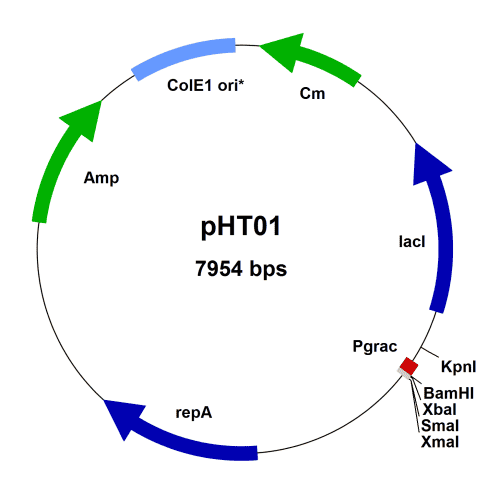 pbs001-vector-map