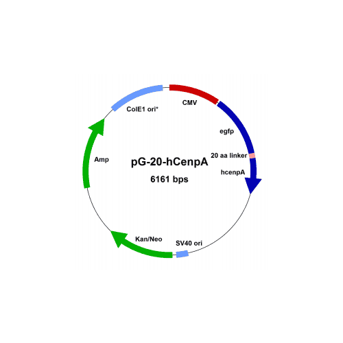 pg-20-hcenpa-vector-map