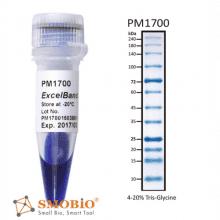 pm1700-2