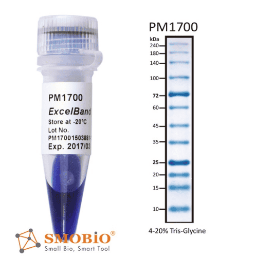 pm1700-2