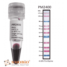 pm2400-2