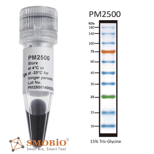 pm2500