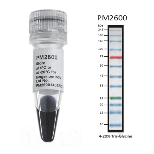 pm2600