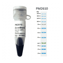 pm2610-2