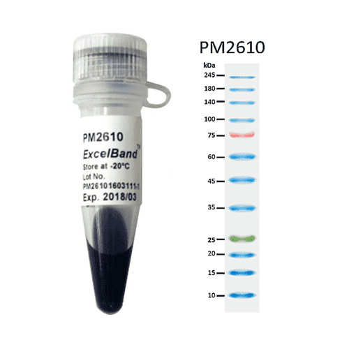 pm2610-2