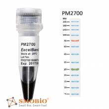 pm2700--282-29