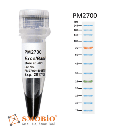 pm2700--282-29