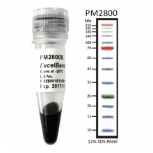 pm2800