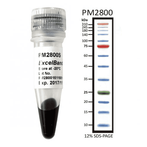 pm2800