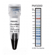 pm5000