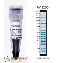 pm5200-2--281-29