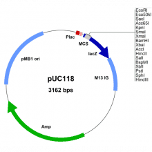 puc118-vector-map