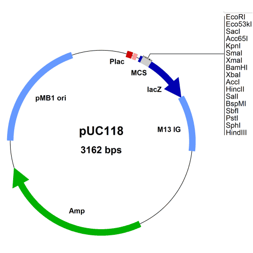 puc118-vector-map