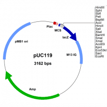 puc119-vector-map