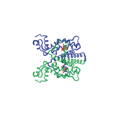 tet-structure